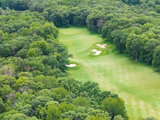 TBD Dog Leg, Pelican Twp, MN 56472