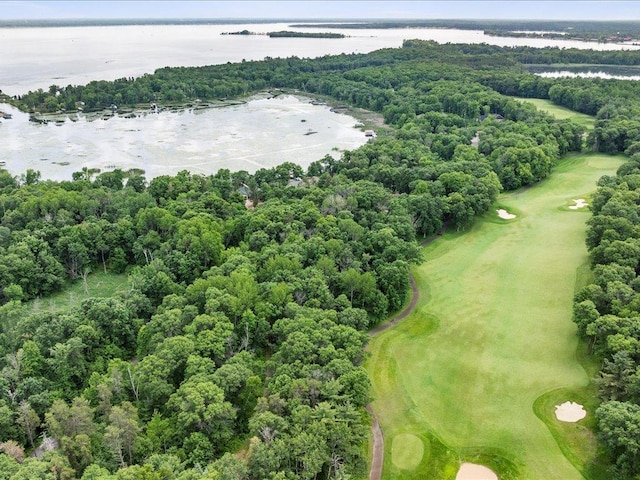 TBD Dog Leg, Pelican Twp, MN 56472