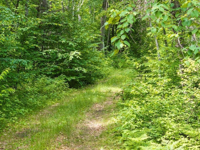 TBD Dog Leg, Pelican Twp, MN 56472