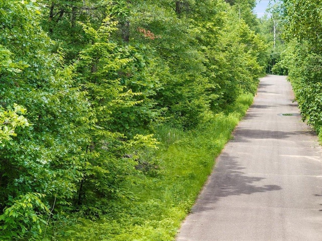 TBD Dog Leg, Pelican Twp, MN 56472