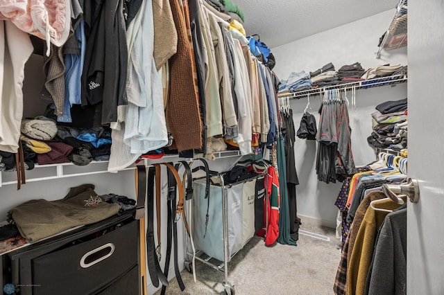 1030 Oak Pl, West Fargo, ND 58078 - walk in closet featuring carpet