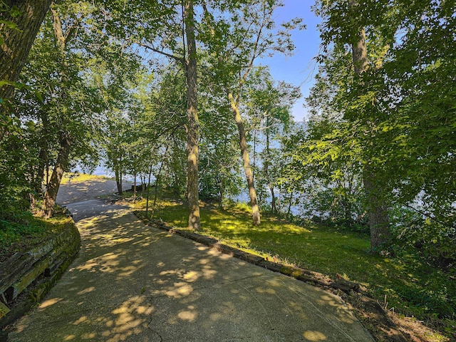 30031 State Highway 78, Ottertail, MN 56571 - photo 7
