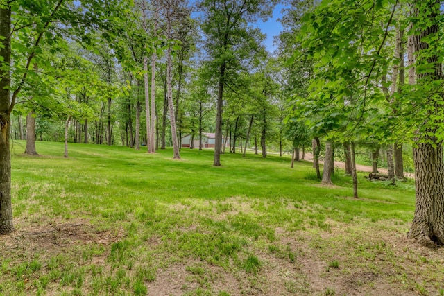 49945 428th St, New York Mills, MN 56567 - photo 11