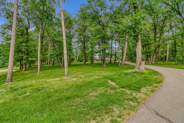49945 428th St, New York Mills, MN 56567 - photo 12