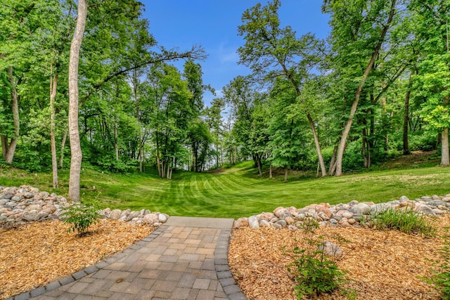 49945 428th St, New York Mills, MN 56567 - photo 51