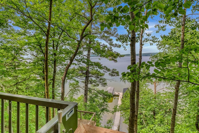 49945 428th St, New York Mills, MN 56567 - photo 64