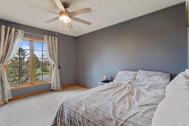 265 Mallard Dr, Louisville Twp, MN 55379 - photo 29