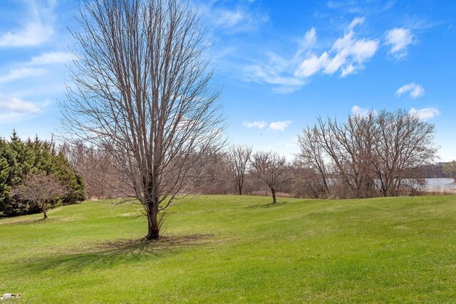 265 Mallard Dr, Louisville Twp, MN 55379 - photo 40