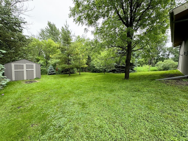 23336 County Highway 120, Fergus Falls, MN 56537 - view of green lawn with a storage unit