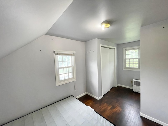 212 Sanborn St, Springfield, MN 56087 - unfurnished bedroom with multiple windows, wood finished floors, a closet, and vaulted ceiling