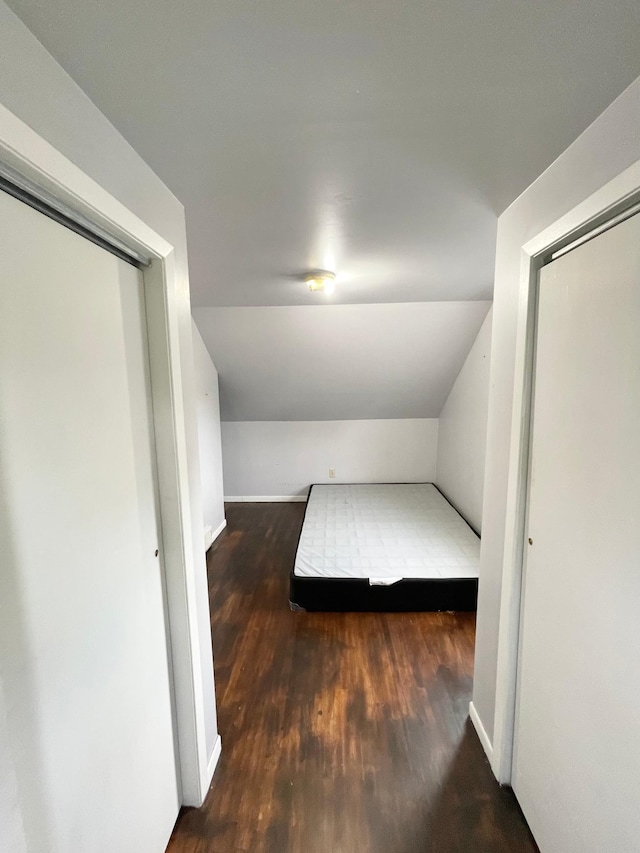212 Sanborn St, Springfield, MN 56087 - unfurnished bedroom featuring wood finished floors, vaulted ceiling, and a closet