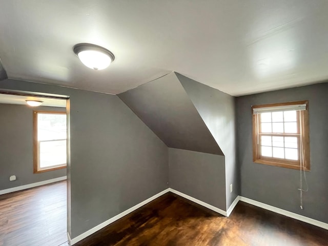 212 Sanborn St, Springfield, MN 56087 - additional living space featuring wood finished floors, healthy amount of natural light, and vaulted ceiling