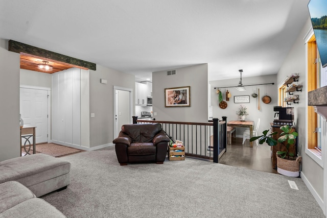 9170 227th St N, Forest Lake, MN 55025 - photo 5