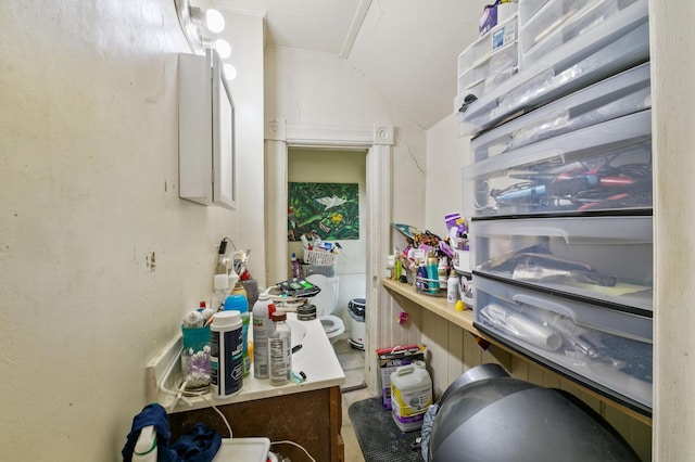 893 Jenks Ave, Saint Paul, MN 55106 - bathroom featuring vaulted ceiling