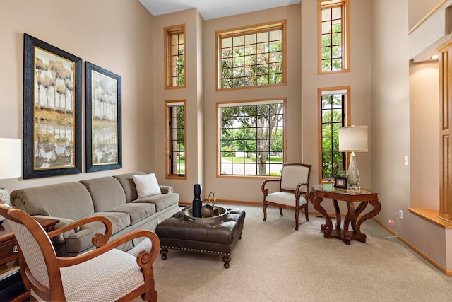 842 Vista Cir, Delano, MN 55328 - living room featuring carpet and a high ceiling