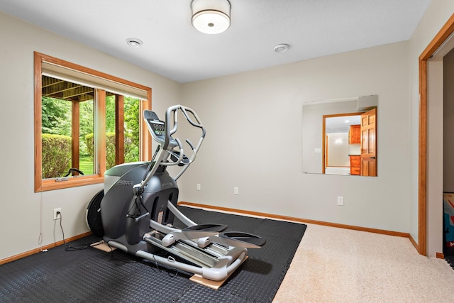 842 Vista Cir, Delano, MN 55328 - workout room featuring dark carpet and baseboards