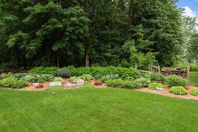 842 Vista Cir, Delano, MN 55328 - view of grassy yard