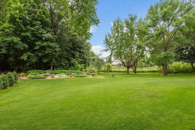 842 Vista Cir, Delano, MN 55328 - view of grassy yard