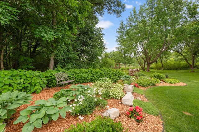 842 Vista Cir, Delano, MN 55328 - view of grassy yard with view of scattered trees