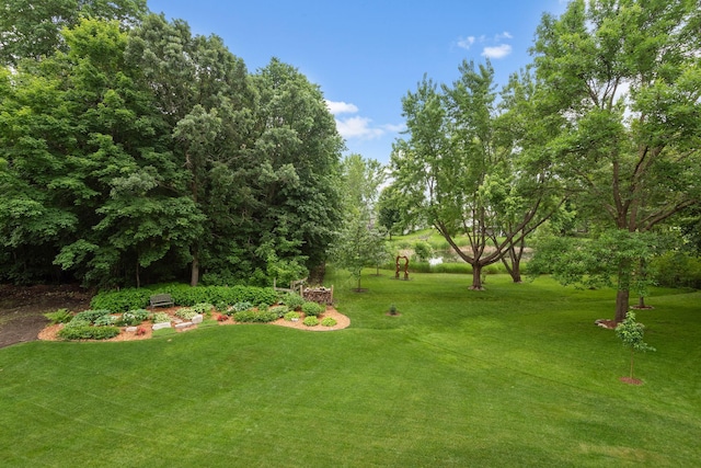 842 Vista Cir, Delano, MN 55328 - view of green lawn with view of wooded area