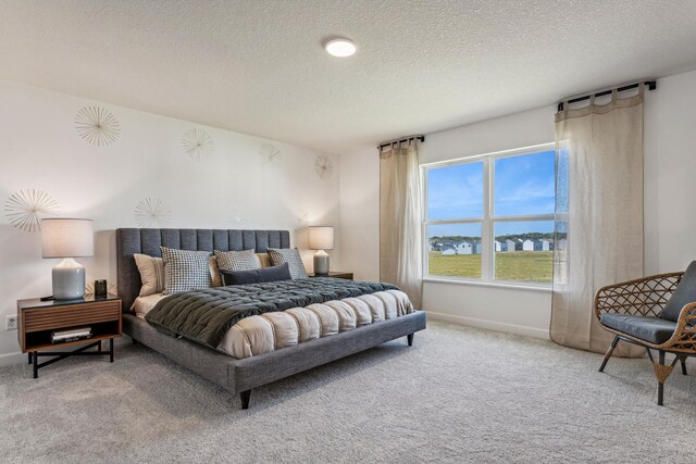 7588 Norway Ln, Lino Lakes, MN 55038 - bedroom featuring carpet floors and a textured ceiling