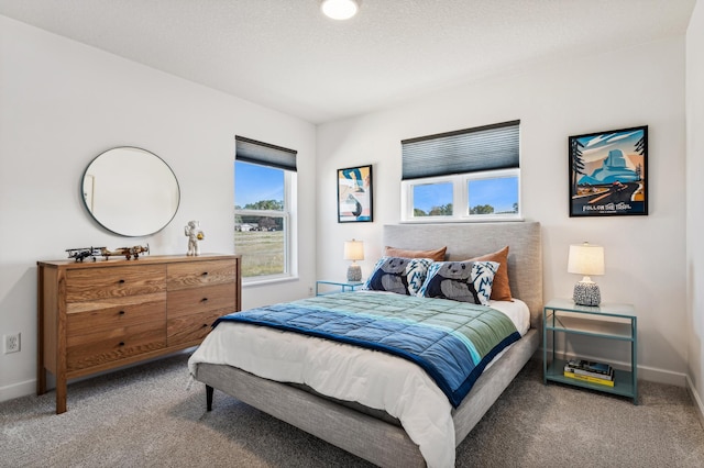 7588 Norway Ln, Lino Lakes, MN 55038 - bedroom with carpet floors and baseboards