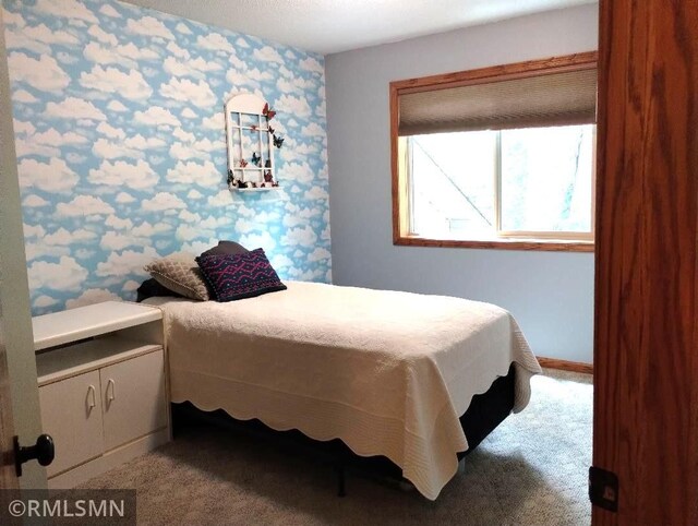 715 Lewis Ave, Rush City, MN 55069 - photo 8