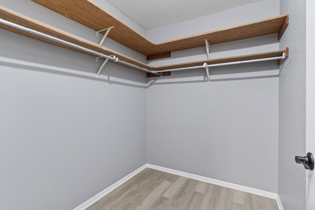 1573 Cohansey St Unit 205, Saint Paul, MN 55117 - walk in closet featuring light wood-style floors