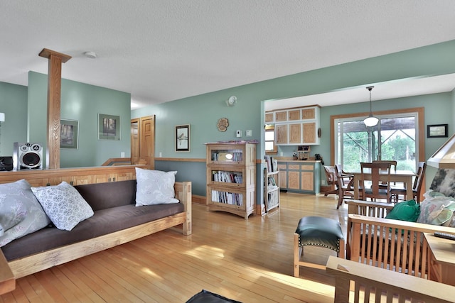 3523 273rd Ave NE, Athens Twp, MN 55040 - living area featuring light wood finished floors and a textured ceiling