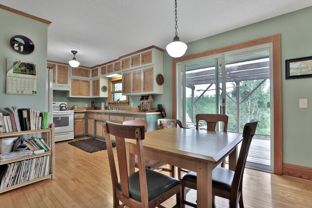 3523 273rd Ave NE, Athens Twp, MN 55040 - dining space with light wood finished floors and a textured ceiling