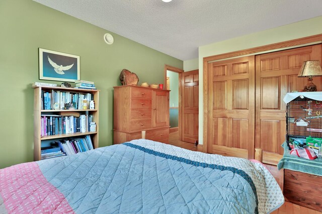 3523 273rd Ave NE, Athens Twp, MN 55040 - bedroom featuring a textured ceiling and a closet