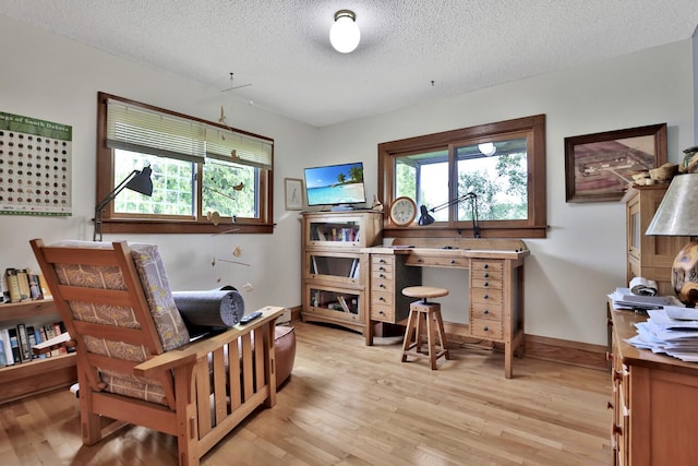 3523 273rd Ave NE, Athens Twp, MN 55040 - home office featuring light wood finished floors and a textured ceiling