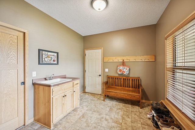 15807 Martin St NW, Andover, MN 55304 - laundry room featuring a sink and a textured ceiling