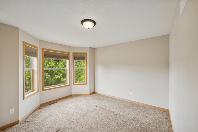 15807 Martin St NW, Andover, MN 55304 - unfurnished room featuring carpet floors