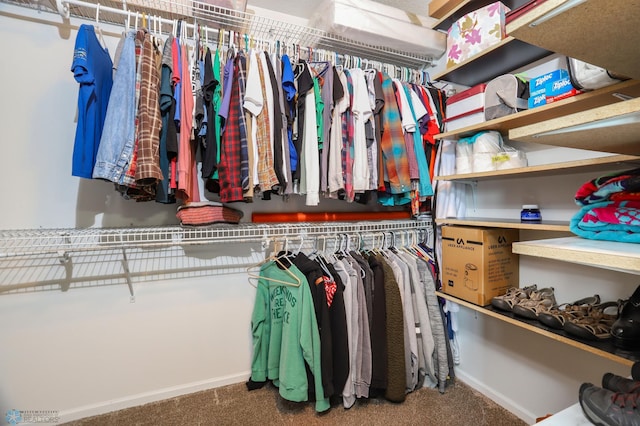 4450 48th St S, Fargo, ND 58104 - spacious closet with carpet