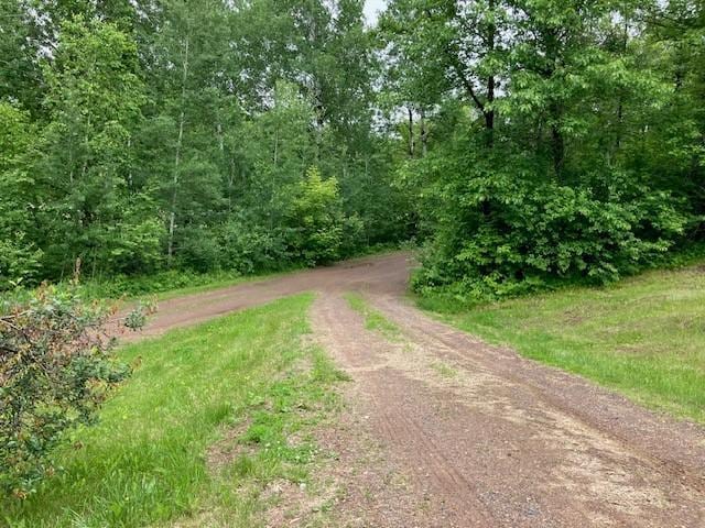 34358 State Highway 18, Finlayson Twp, MN 55735 - view of street with a wooded view