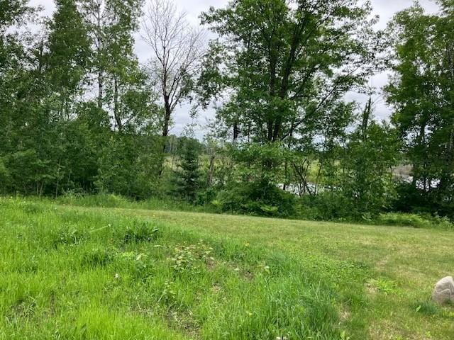 34358 State Highway 18, Finlayson Twp, MN 55735 - view of undeveloped land