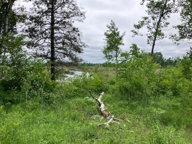 34358 State Highway 18, Finlayson Twp, MN 55735 - view of woods