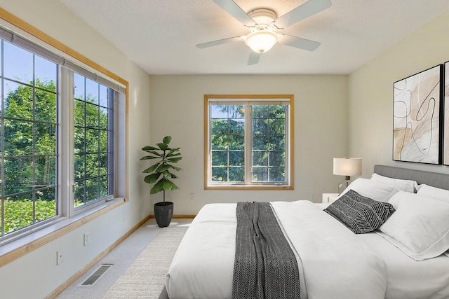 1900 Hunter Hill Rd, Hudson, WI 54016 - bedroom with carpet floors and a ceiling fan