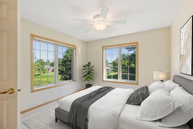 1900 Hunter Hill Rd, Hudson, WI 54016 - bedroom featuring multiple windows, carpet, and ceiling fan
