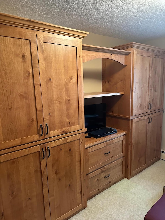 220 Woodman Ave, Dovray, MN 56125 - detailed view of a textured ceiling and carpet