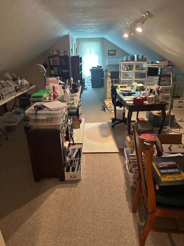 220 Woodman Ave, Dovray, MN 56125 - carpeted office featuring lofted ceiling
