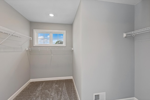 1902 Balsam Dr, Carver, MN 55315 - photo 18