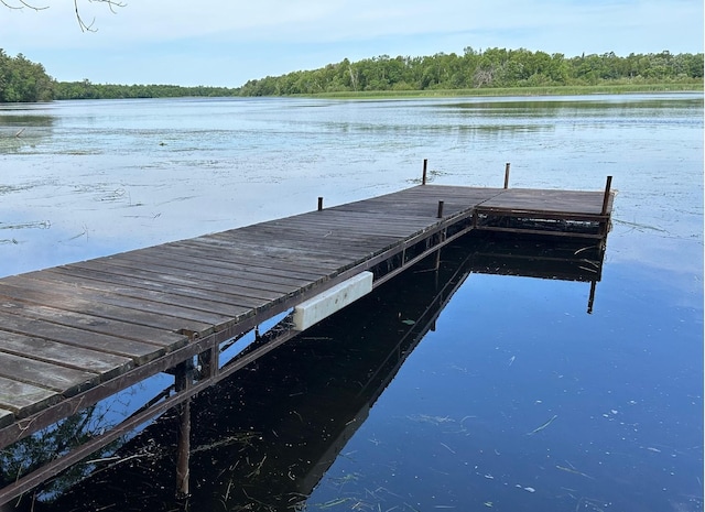 6274 Azalea Rd, Motley Twp, MN 56466 - dock area featuring a water view