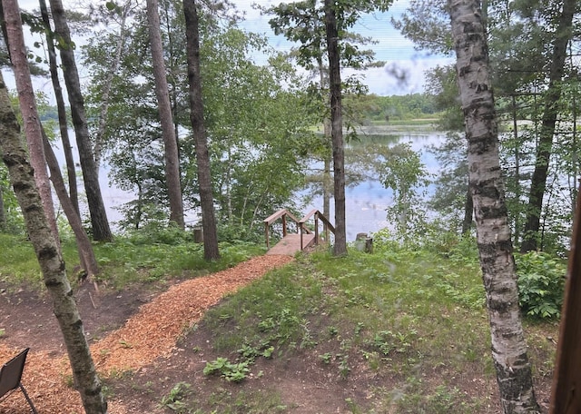 6274 Azalea Rd, Motley Twp, MN 56466 - water view