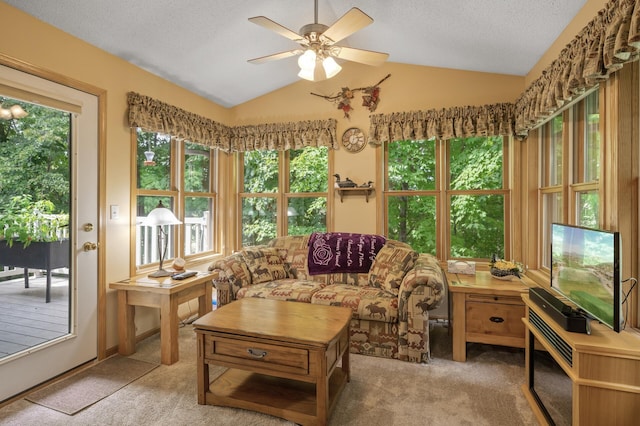 11770 N Meadow Curv, Lindstrom, MN 55045 - carpeted living room with lofted ceiling, ceiling fan, healthy amount of natural light, and a textured ceiling