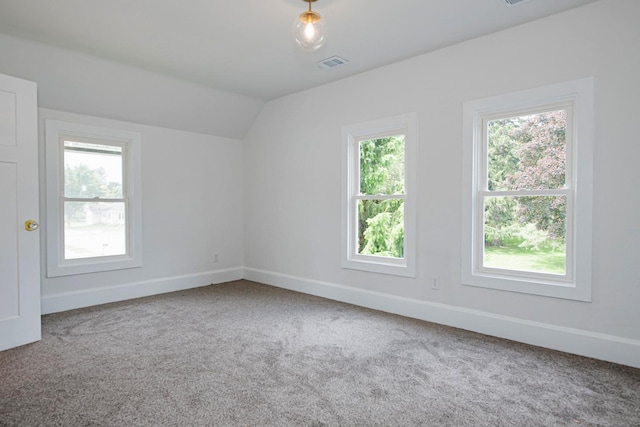 322 Jefferson St, Caledonia, MN 55921 - bonus room featuring lofted ceiling, healthy amount of natural light, and carpet floors