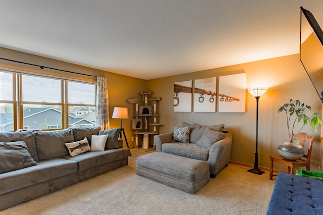 104 Sylla St, River Falls, WI 54022 - carpeted living room featuring baseboards