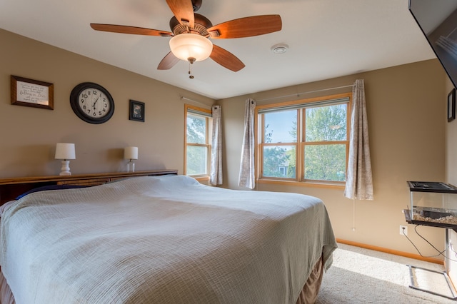 104 Sylla St, River Falls, WI 54022 - carpeted bedroom with multiple windows and a ceiling fan