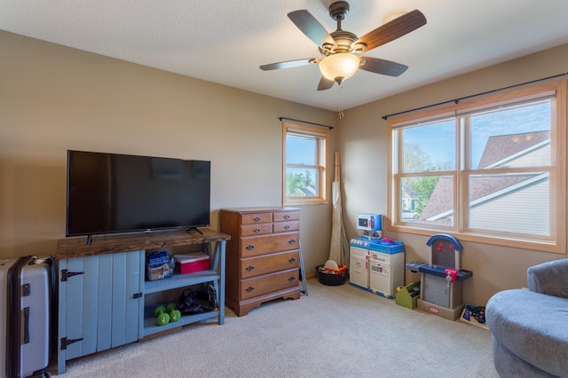 104 Sylla St, River Falls, WI 54022 - living area with carpet flooring and a ceiling fan